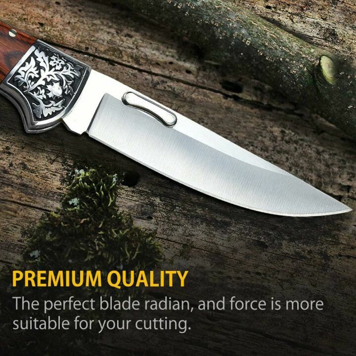 Elegant Folding Pocket Knife for Men with Back Lock