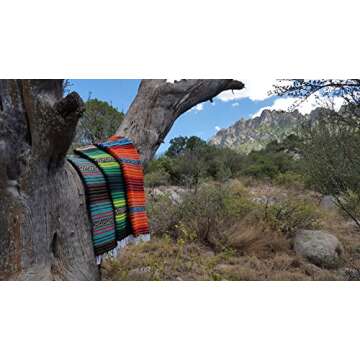 El Paso Designs Peyote Hippie Blanket Classic Mexican Style Falsa Stripe Pattern in Vivid Peyote Colors. Throw, Bed, Tapestry, or Yoga Blanket. Hand Woven Acrylic, 57" x 74" (Peyote 5)