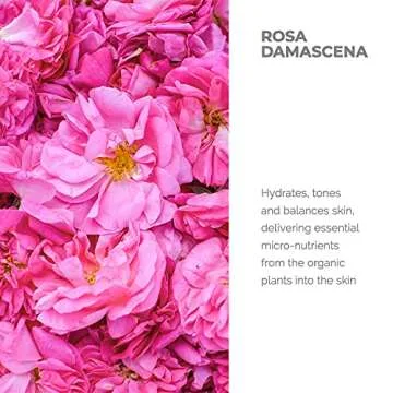 Alteya Organics Rose Water USDA Certified Organic Facial Toner, 17 Fl Oz/500mL Pure Bulgarian Rosa Damascena Flower Water, Award-Winning Moisturizer BPA-Free Bottle with Reducer