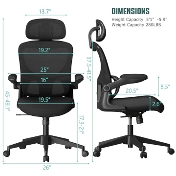 SUNNOW Mesh Office Chair with Adjustable Lumbar Support
