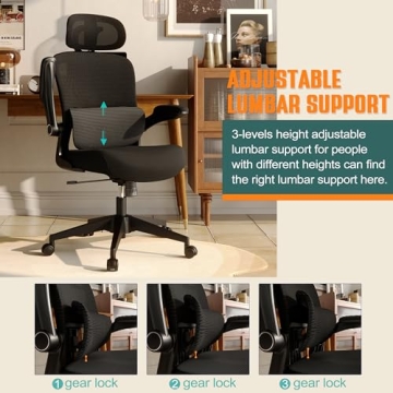 SUNNOW Mesh Office Chair with Adjustable Lumbar Support