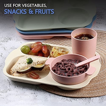 Shopwithgreen Divided Plates, 12 Inch, 4PCS, BPA-Free