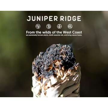 Juniper Ridge California White Sage Large Incense Bundle - Aromatherapy - No Synthetic Fragrance - Single Count