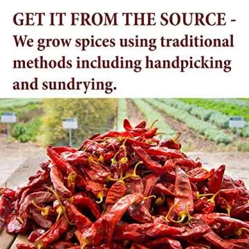 Premium Ancho Chili Powder for Authentic Mexican Flavor