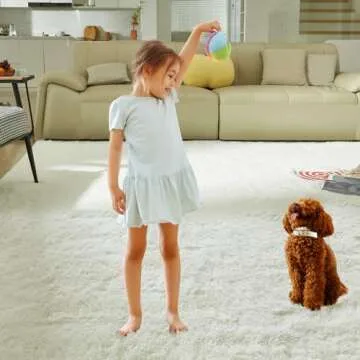 Ultra Soft Fluffy Rug for Living Room - 6X9 BCF Home Decor