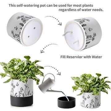Nihow Self Watering Ceramic Planter: Stylish and Functional