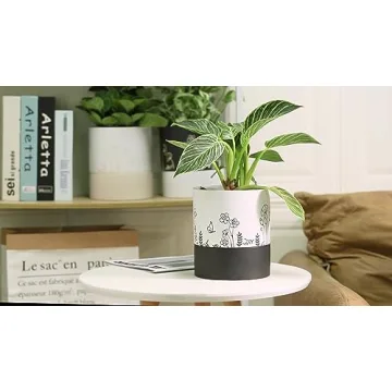 Nihow Self Watering Ceramic Planter: Stylish and Functional