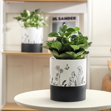 Nihow Self Watering Ceramic Planter: Stylish and Functional