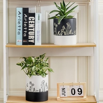 Nihow Self Watering Ceramic Planter: Stylish and Functional