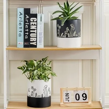 Nihow Self Watering Ceramic Planter: Stylish and Functional