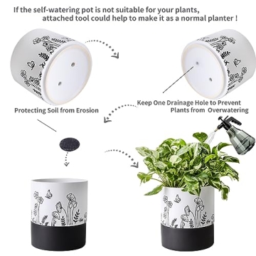 Nihow Self Watering Ceramic Planter: Stylish and Functional