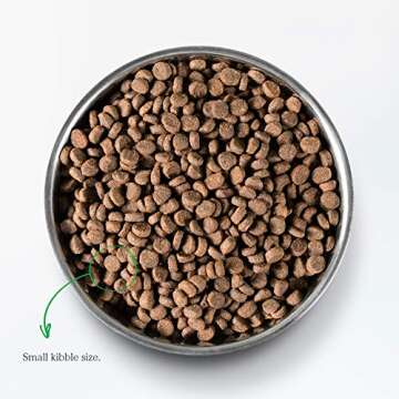 Open Farm Grain-Free Lamb Cat Food for Healthy Growth