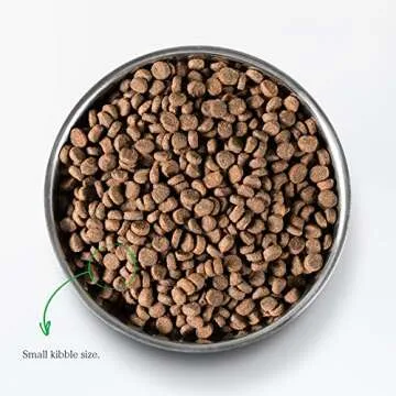 Open Farm Grain-Free Lamb Cat Food for Healthy Growth