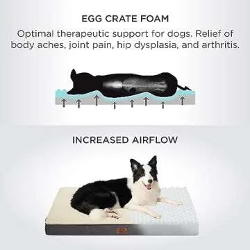 Orthopedic Large Dog Bed with Washable Cover