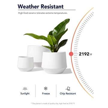 LE TAUCI Plant Pots, Large Planter Ceramic, 8.3+6.3+4.5 inch Pots for Plants with Drainage Holes, Garden Planters Outdoor, Indoor House Plants, Cylinder Modern Planter for Home, Set of 3, White