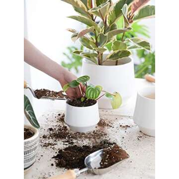 LE TAUCI Plant Pots, Large Planter Ceramic, 8.3+6.3+4.5 inch Pots for Plants with Drainage Holes, Garden Planters Outdoor, Indoor House Plants, Cylinder Modern Planter for Home, Set of 3, White