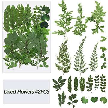 42 Pieces Dried Pressed Leaves for Resin Real Assorted Dried Greenery for Pressed Leaf Art Craft DIY Embellishment Decorations, 7 Styles