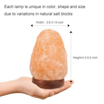 Wrcevtor USB Himalayan Salt Lamp with Color Changing LED