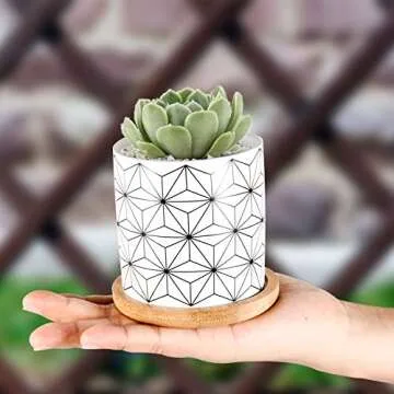ZOUTOG Succulent Pots, 3 inch Ceramic Mini Succulent Planter Pot, Geometric Pattern Round Small Flower Pots with Drainage and Bamboo Tray, Pack of 6 - Plants Not Included