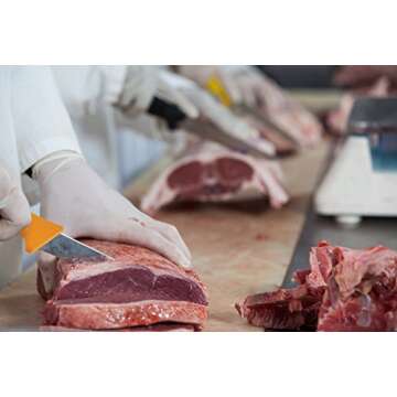 UltraSource - 449030 Boning Knife, 5" Curved/Semi-Flexible Blade, Polypropylene Handle