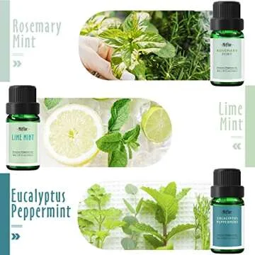 MitFlor Premium Scented Oils Set of Mint for Diffuser, Candle & Soap Making