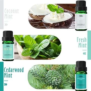MitFlor Mint Oils Set for Aromatherapy & Candle Making