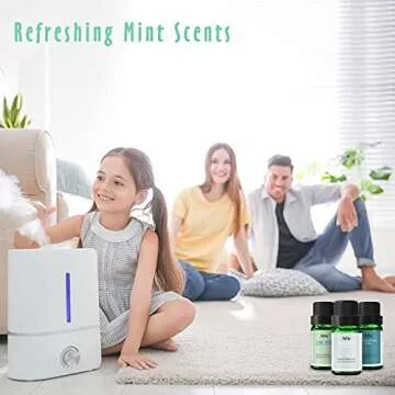 MitFlor Mint Oils Set for Aromatherapy & Candle Making