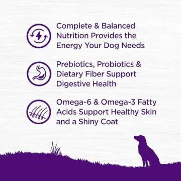 Wellness Complete Health Dry Dog Food with Grains, Natural Ingredients, Made in USA with Real Meat, All Breeds, For Adult Dogs (Lamb & Barley, 5-Pound Bag)