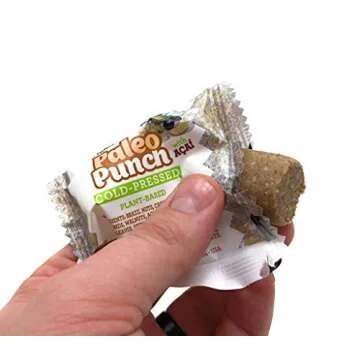 TerraNut® Paleo Punch® Snack - Gluten-Free Vegan Treat