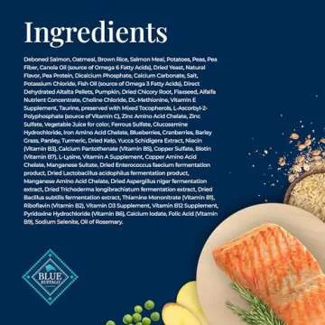 Blue Buffalo Basics Adult Dry Dog Food, Skin & Stomach Care, Limited Ingredient Diet for Dogs, Salmon Recipe, 24-lb. Bag