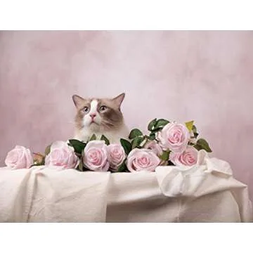 Kate 5x7ft Retro Portrait Backdrop Abstract Pink Backdrops for Valentine's Day Photography Studio Backgrounds