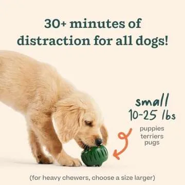 WOOF Pupsicle & Treat Tray - Interactive Dog Toy