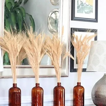 GTIDEA 100 Pcs Dried Wheat Stalks for Home Decor
