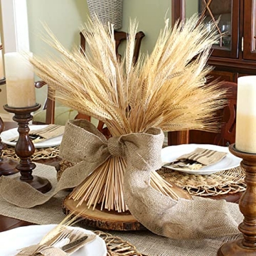 GTIDEA 100 Pcs Dried Wheat Stalks for Home Decor