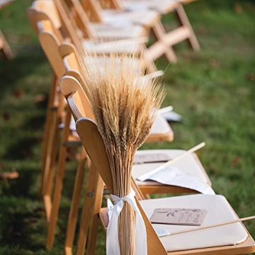 GTIDEA 100 Pcs Dried Wheat Stalks for Home Decor