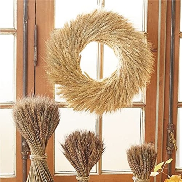 GTIDEA 100 Pcs Dried Wheat Stalks for Home Decor