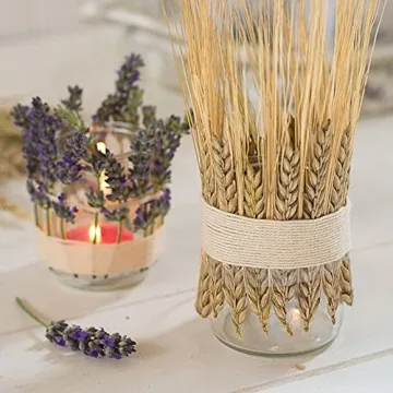GTIDEA 100 Pcs Dried Wheat Stalks for Home Decor