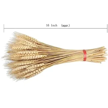 GTIDEA 100 Pcs Dried Wheat Stalks for Home Decor