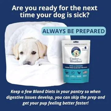 Under the Weather Bland Diet for Dogs | Easy to Digest for Sick Dogs | Always Be Ready | Contains Electrolytes - All Natural Freeze Dried 100% Human Grade Meats | 1 Pack - Chicken, Rice - 6oz