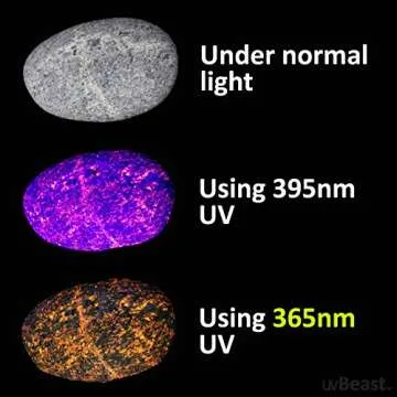 uvBeast V3 365nm Black Light UV Flashlight for Professionals
