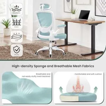 KERDOM Ergonomic Office Chair with Lumbar Support