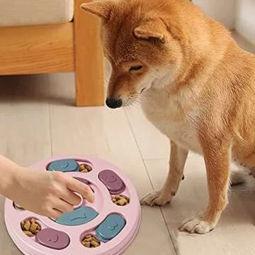 Interactive DR CATCH Dog Puzzle Toy for Small Dogs
