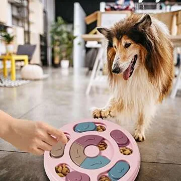 Interactive DR CATCH Dog Puzzle Toy for Small Dogs