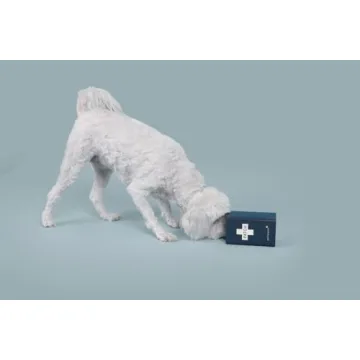 PATCH Eco Pet First Aid Kit for Dogs and Cats - Emergency Supplies