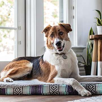 QALO Customized Pet ID Tags - Durable Silicone Name Tags