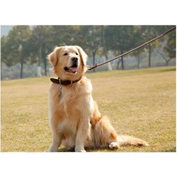 Guiding Star 6ft Leather Dog Leash and Collar Set, Soft Braided Leather Dog Leash 6ft with Adjustable Dog Collar, Heavy Duty Leather Dog Collar and Leash Set Combo for Small Medium Large Dogs