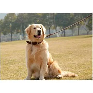 Guiding Star 6ft Leather Dog Leash and Collar Set, Soft Braided Leather Dog Leash 6ft with Adjustable Dog Collar, Heavy Duty Leather Dog Collar and Leash Set Combo for Small Medium Large Dogs