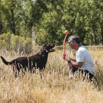 Chuckit! Sport 26L Dog Ball Launcher - Includes a 3-inch Diameter Large Ball for Dogs 60-100 Pounds ...