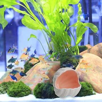AnRui Ceramic Conch Shell Aquarium Decorations