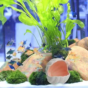 AnRui Ceramic Conch Shell Aquarium Decorations